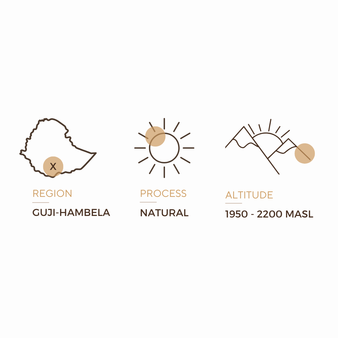 GUJI-HAMBELA - ETHIOPIA