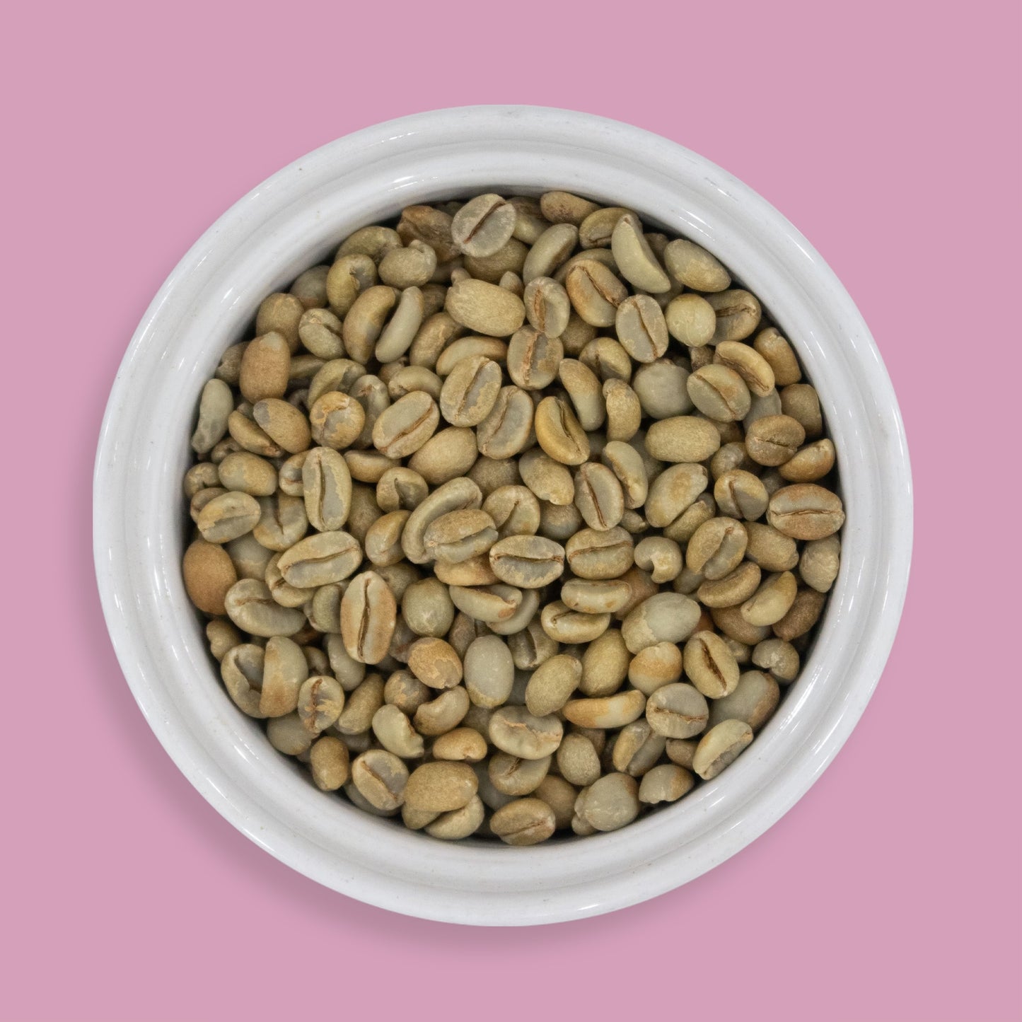 SIDAMO - ETHIOPIA