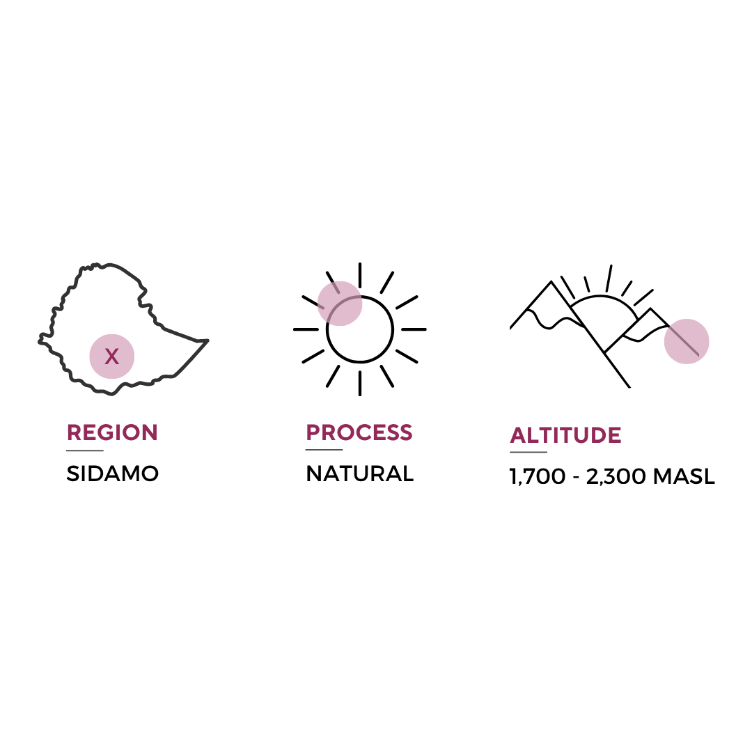 SIDAMO - ETHIOPIA