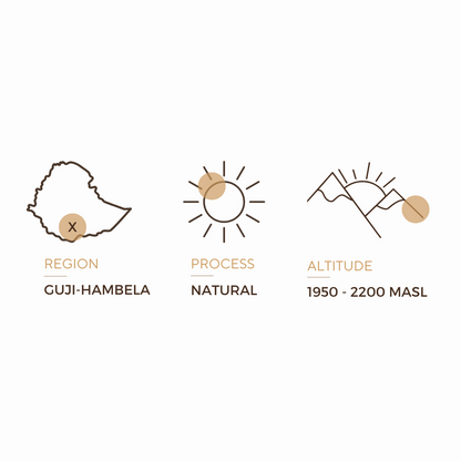 GUJI-HAMBELA - ETHIOPIA