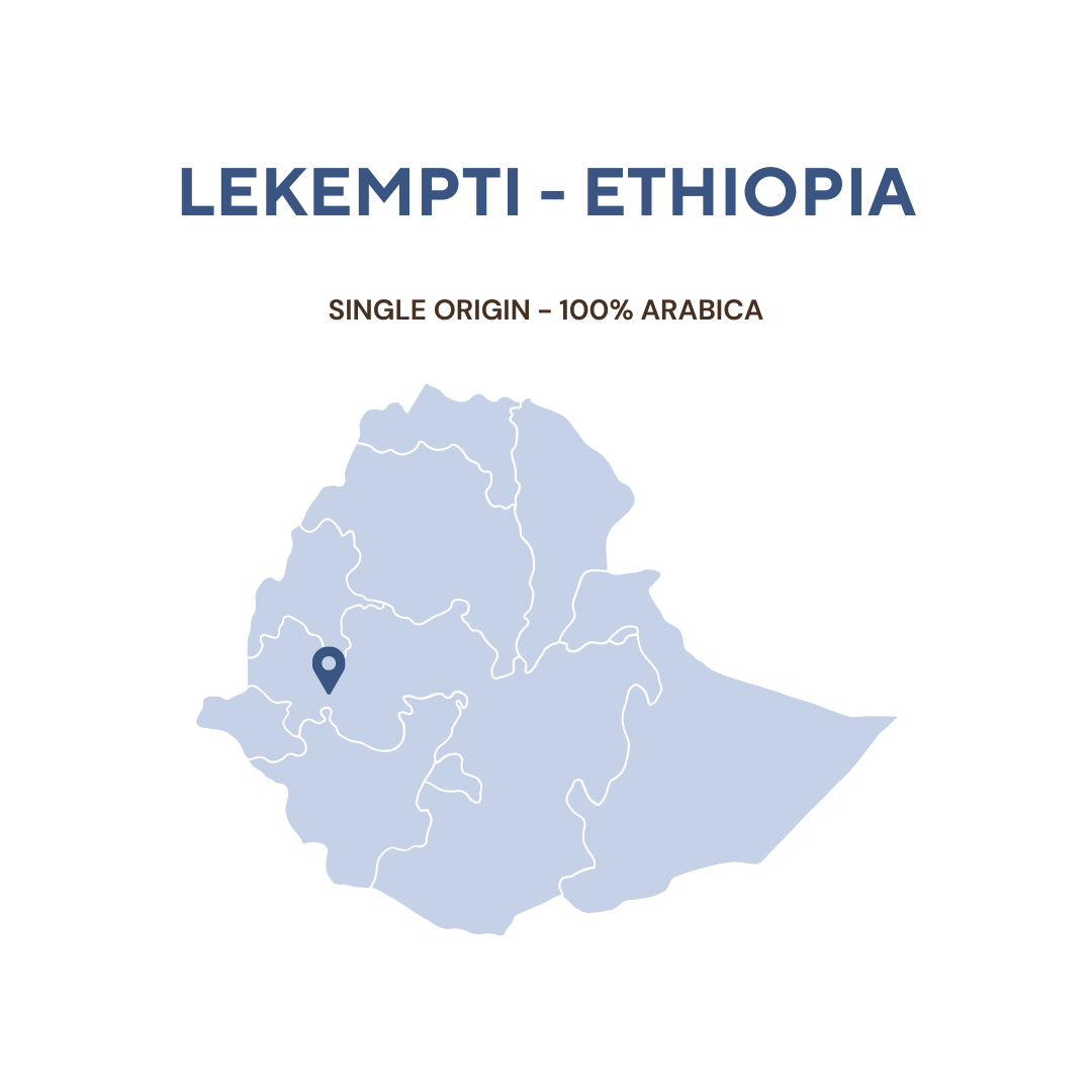 ROASTED LEKEMPTI - ETHIOPIA