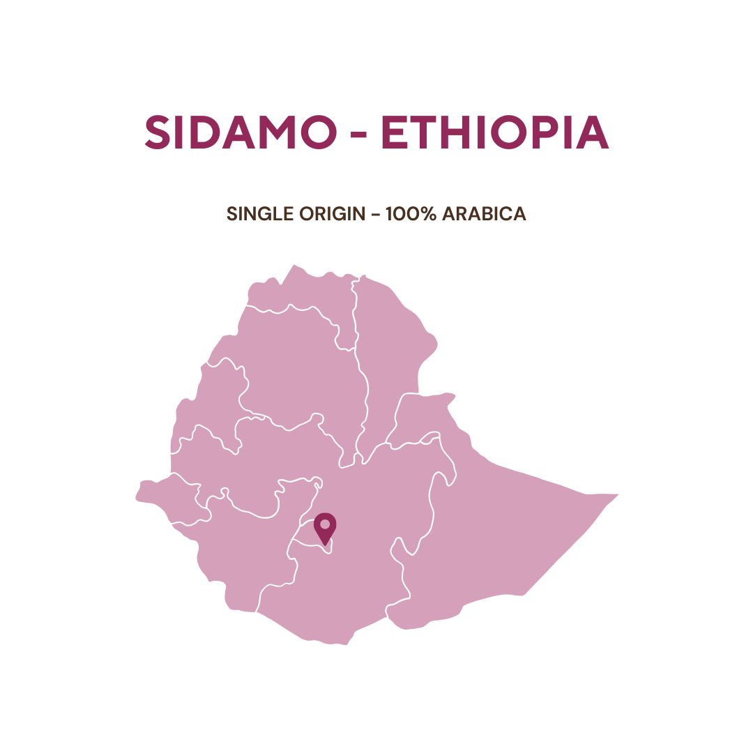 ROASTED SIDAMO - ETHIOPIA