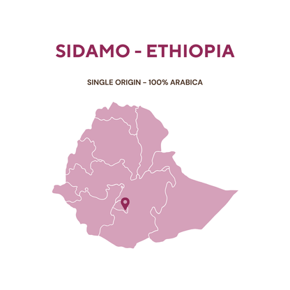 ROASTED SIDAMO - ETHIOPIA