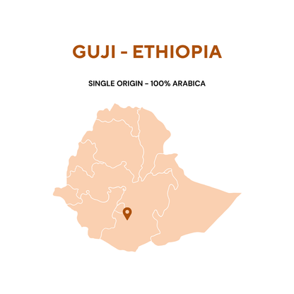 GUJI G2 WASHED - ETHIOPIA