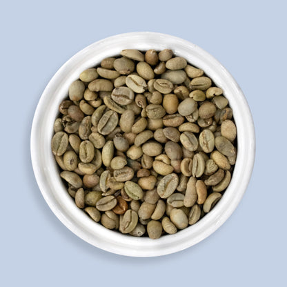 LEKEMPTI - ETHIOPIA