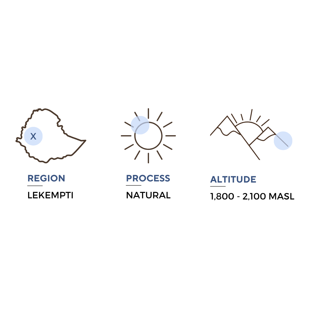 LEKEMPTI - ETHIOPIA