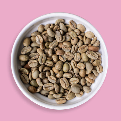 SIDAMO - ETHIOPIA